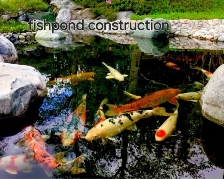 Koi fishpond construction with rock edging