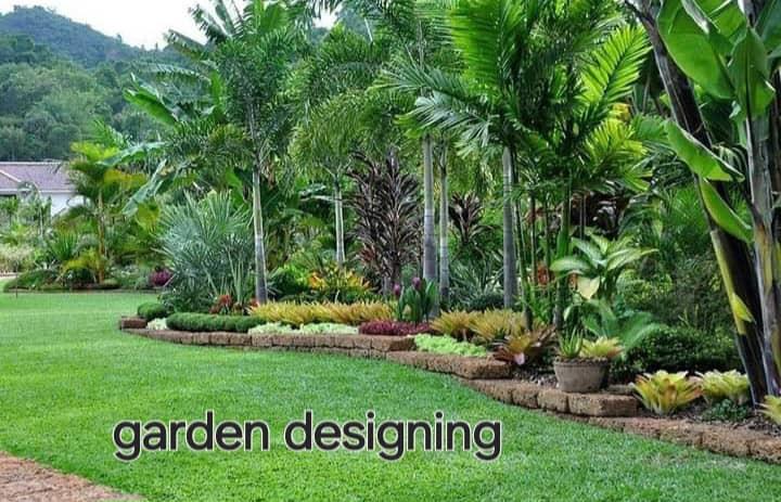 Garden designing with tropical planting and lawn
